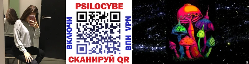 Купить где  Наро-Фоминск  Галлюциногенные грибы Psilocybe 